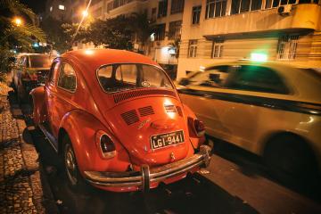 The Red beetle